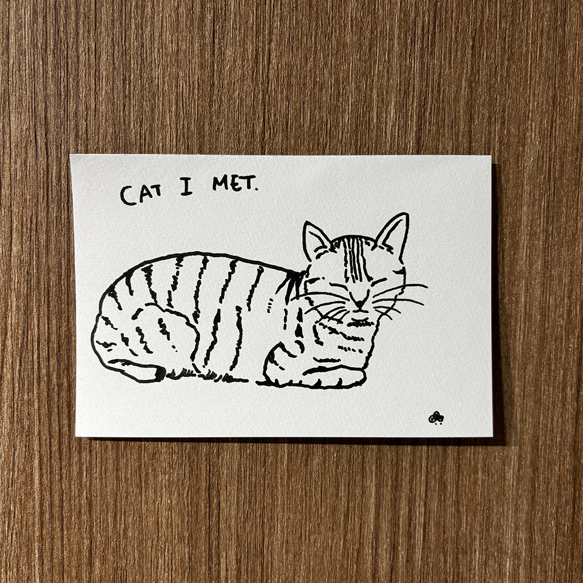 ペットや植物のイラストレーションを描きます